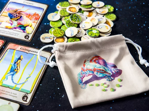 Evolution matériel du jeu 1